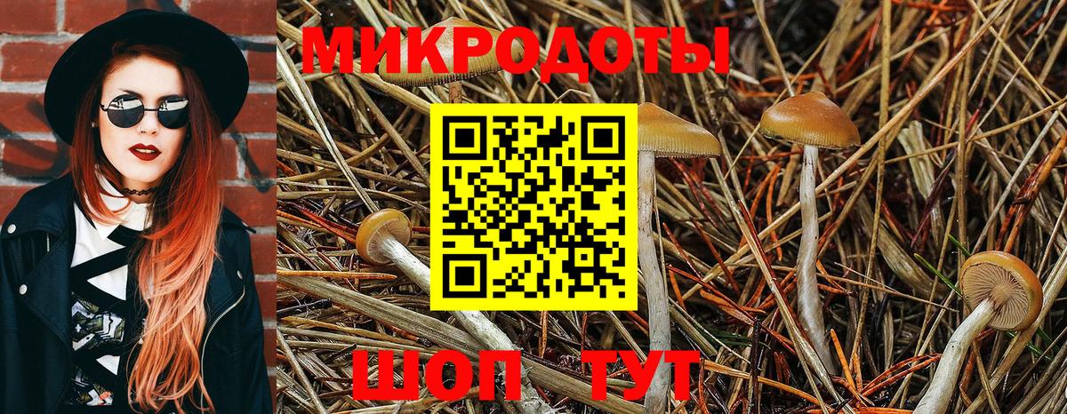 Галлюциногенные грибы Magic Shrooms  Вход с VPN  Добрянка  Галлюциногенные грибы GOLDEN TEACHER 